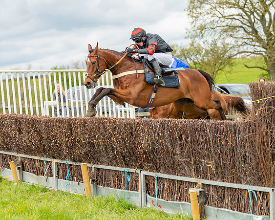 Race 2 - ROR and veteran Horse Conditions race (45 of 77)
