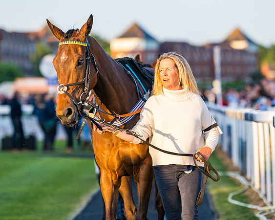 Race 7 - ITM NH Flat Race (16 of 197)