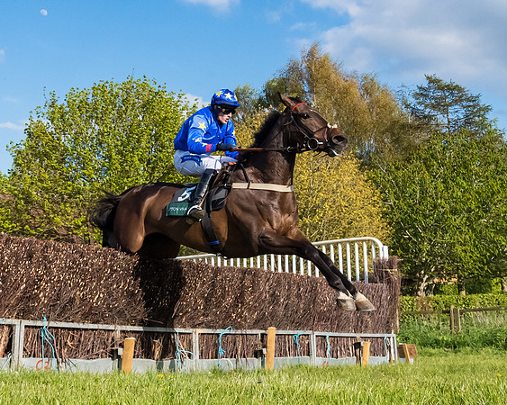 Race 7 - Maiden  (80 of 113)