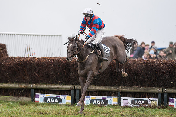 Race 5 - The Intermediate (45 of 59).jpg
