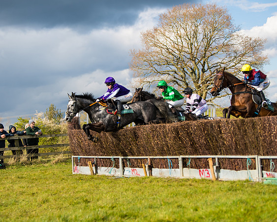 Race 5 - Restricted  (19 of 118)
