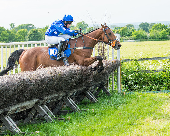 Race 6 - Open Maiden (240 of 346)