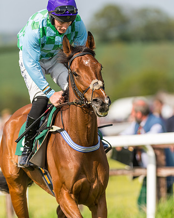 Race 5 - Restricted  (42 of 164)
