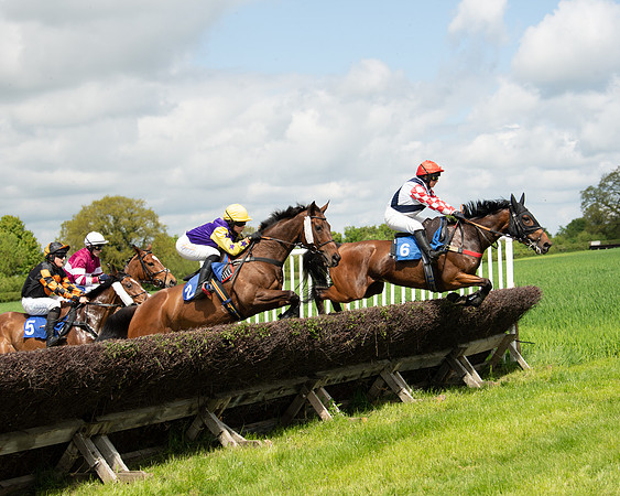 Race 1 - The Condiitions race (50 of 123)