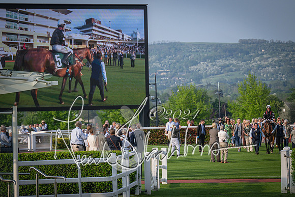 Race 4 - The Jonathan Neesom memorial open Hunter’s steeplechase 3m2f 70y (122 of 167)