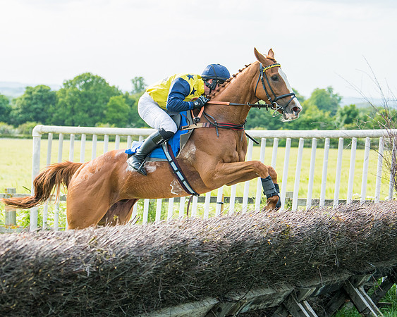 Race 6 - Open Maiden (177 of 346)