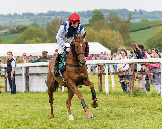 Race 6 = Maiden (23 of 187)
