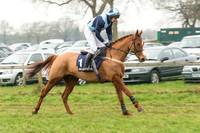 Race 5 - The Restricted Race (8 of 86).jpg