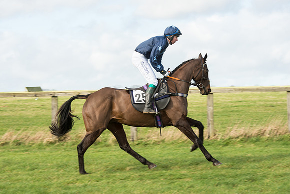 Race 3 - PPORA Members Novice Riders (8 of 84).jpg