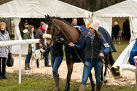 Race 1 - Div 1 - Young Horse Maiden (17 of 90).jpg