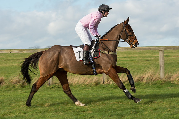 Race 3 - PPORA Members Novice Riders (30 of 84).jpg