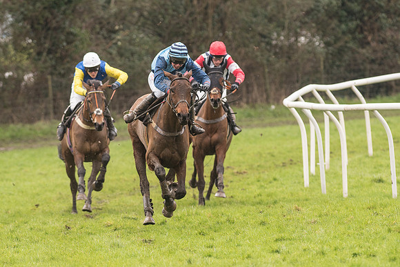 Race 1 - Young Horse Maiden (35 of 50).jpg
