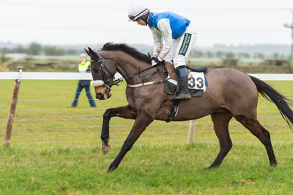 Race 6 - Open Maiden Race Div 2  (36 of 118).jpg
