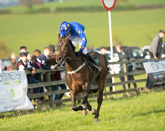 Race 7 - Maiden  (94 of 113)