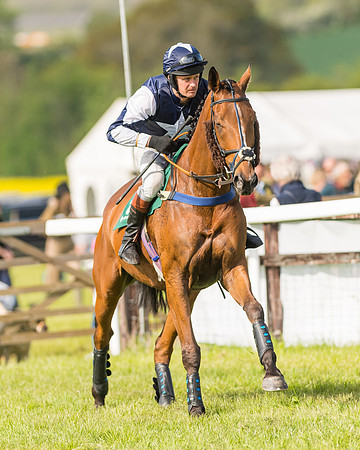 Race 5 - Restricted  (29 of 164)