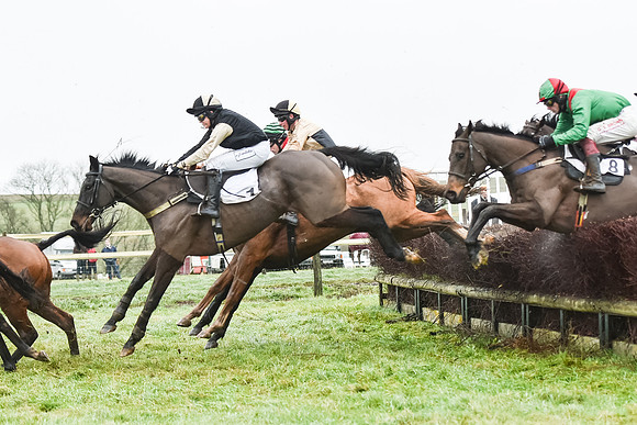 Race 5 - The Intermediate (38 of 59).jpg