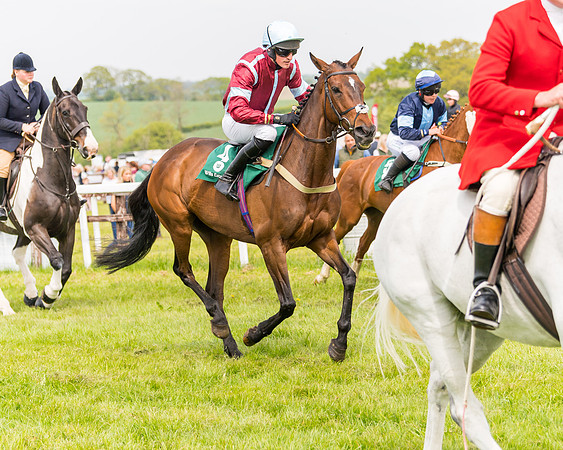 Race 2 - Owner-Trainer Conditions  (40 of 208)