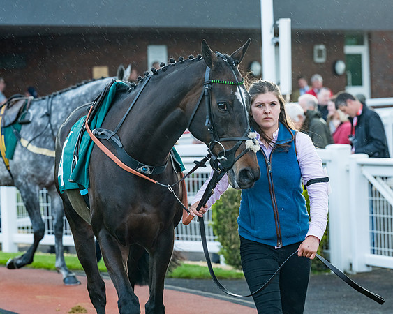 Race 5 - Mares Open  (23 of 329)