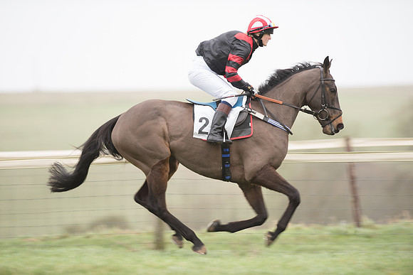 Race 1 - Novice Riders (26 of 86).jpg