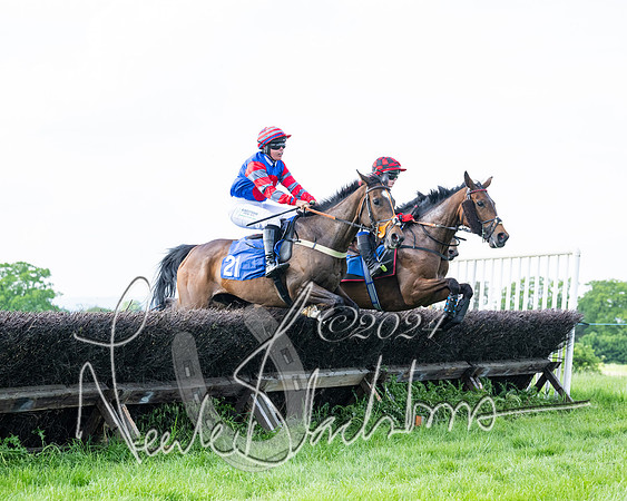 Race 5  - Maiden race 2m5F Div-2 (127 of 205)