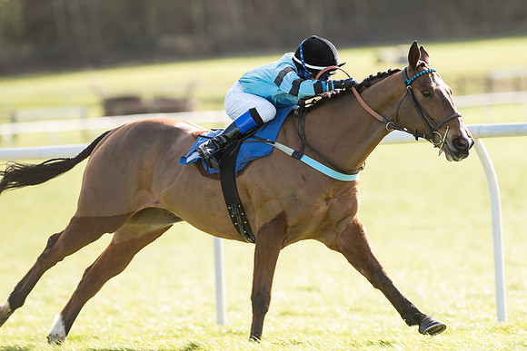 Pony Race 2 (11 of 22).jpg