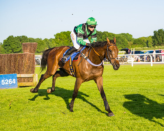Race 5 - Whitw Swan Handicap (11 of 67)