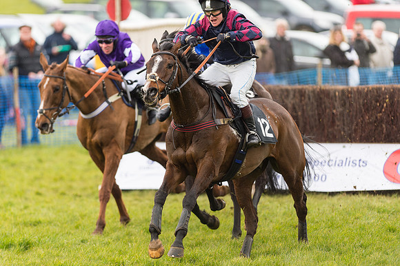 Race 2 - Novice and Veterans   (75 of 101).jpg