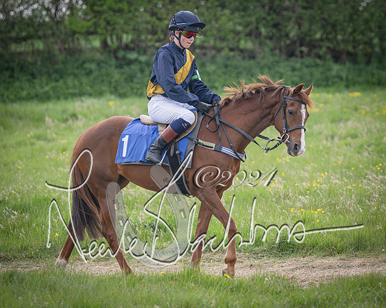 Pony Race 1 (9 of 61)-