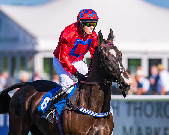 Race 1 - JFF Open Hunter Steeple Chase 2m  (31 of 202)