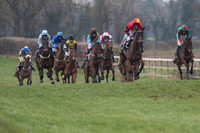 Race 7 - Young Horse Maiden  (13 of 64).jpg