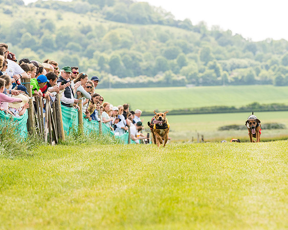 Draghounds Race (70 of 212)
