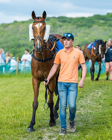 Race 5 - Restricted (42 of 335)
