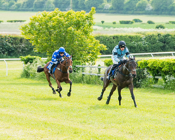 Race 6 - Open Maiden (217 of 346)