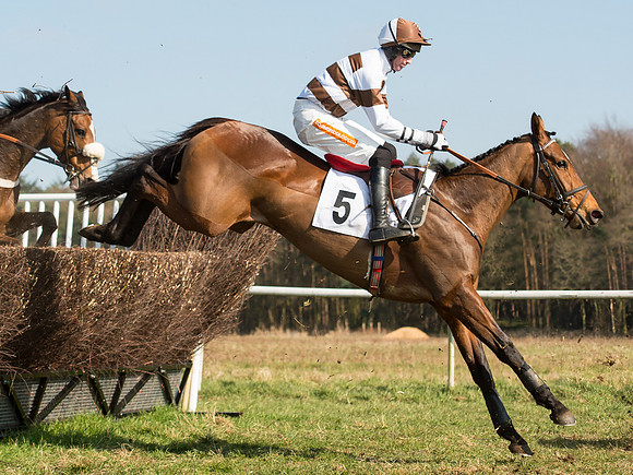 Galros Lady - Dicky Collinson-2