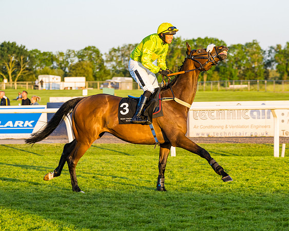 Race 7 - ITM NH Flat Race (47 of 197)