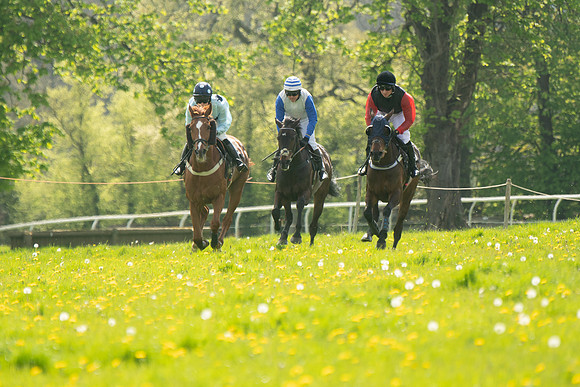 Race 2 - Veteran Horse  (49 of 82)