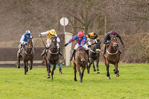 Race 2 - Young Horse Maiden (72 of 110)-2.jpg