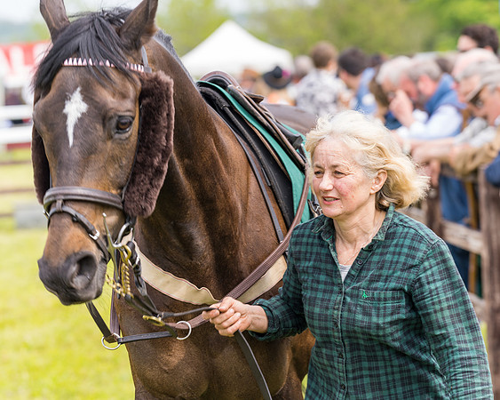 Race 2 - Owner-Trainer Conditions  (4 of 208)