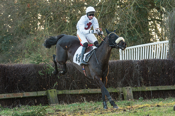 Race 6 - Open Maiden Division 2  (40 of 72).jpg