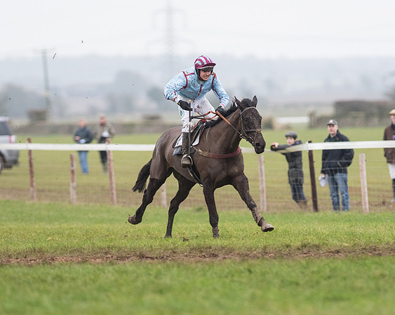Race 6 - Open Maiden Race Div 1  (64 of 90).jpg