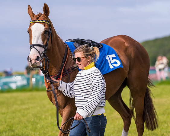 Race 6 - Open Maiden (19 of 346)