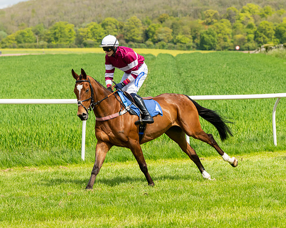 Race 1 - The Condiitions race (35 of 123)