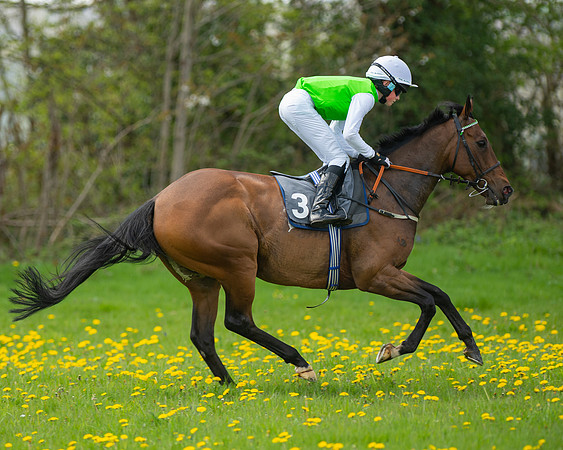 Ponies and Side saddle (43 of 69)