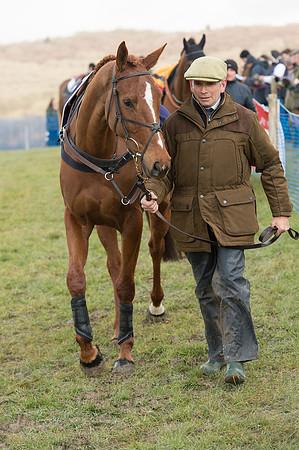 Race 1 - Div 2 - Young Horse Maiden (13 of 122).jpg