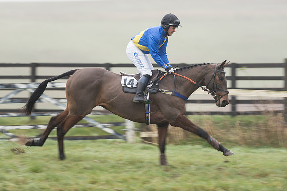 Race 5 - The Intermediate (25 of 59).jpg