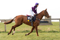 Race 6 Div 2 - Open Maiden  (5 of 131).jpg