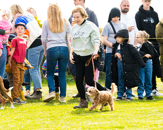 Dog show etc (59 of 157)