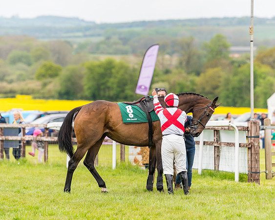 Race 7 - Veteran Horse conditions (40 of 244)