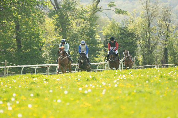 Race 2 - Veteran Horse  (42 of 82)