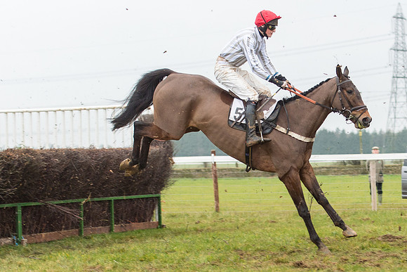 Race 6 - Open Maiden Race Div 1  (48 of 90).jpg